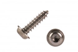 Socket Head Servo Screw Black 2x10 mm (20pcs)